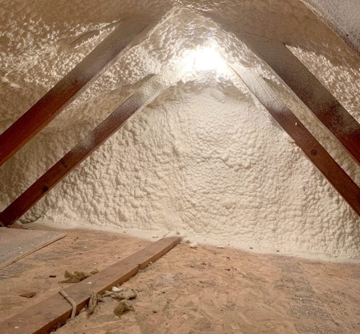 490167077_1227309116068649_642891517682363636_n