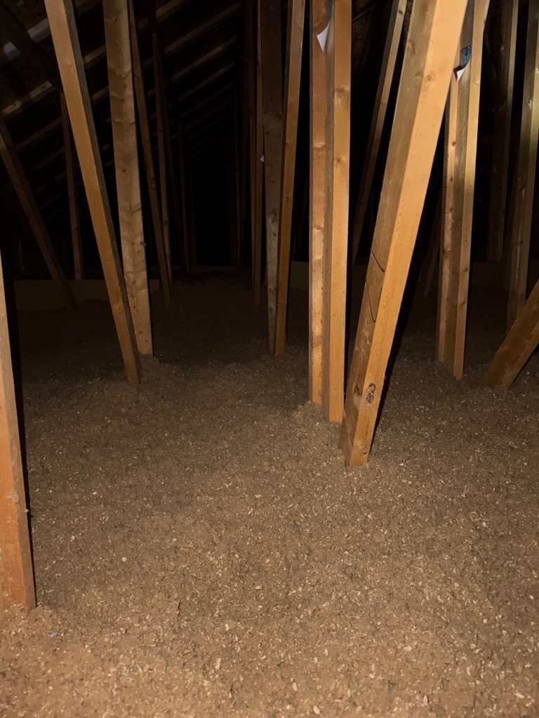 Kate Lingenfelter - 4 Cellulose insulation installed by Bauer